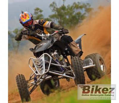 2010 Arqin F450 photo